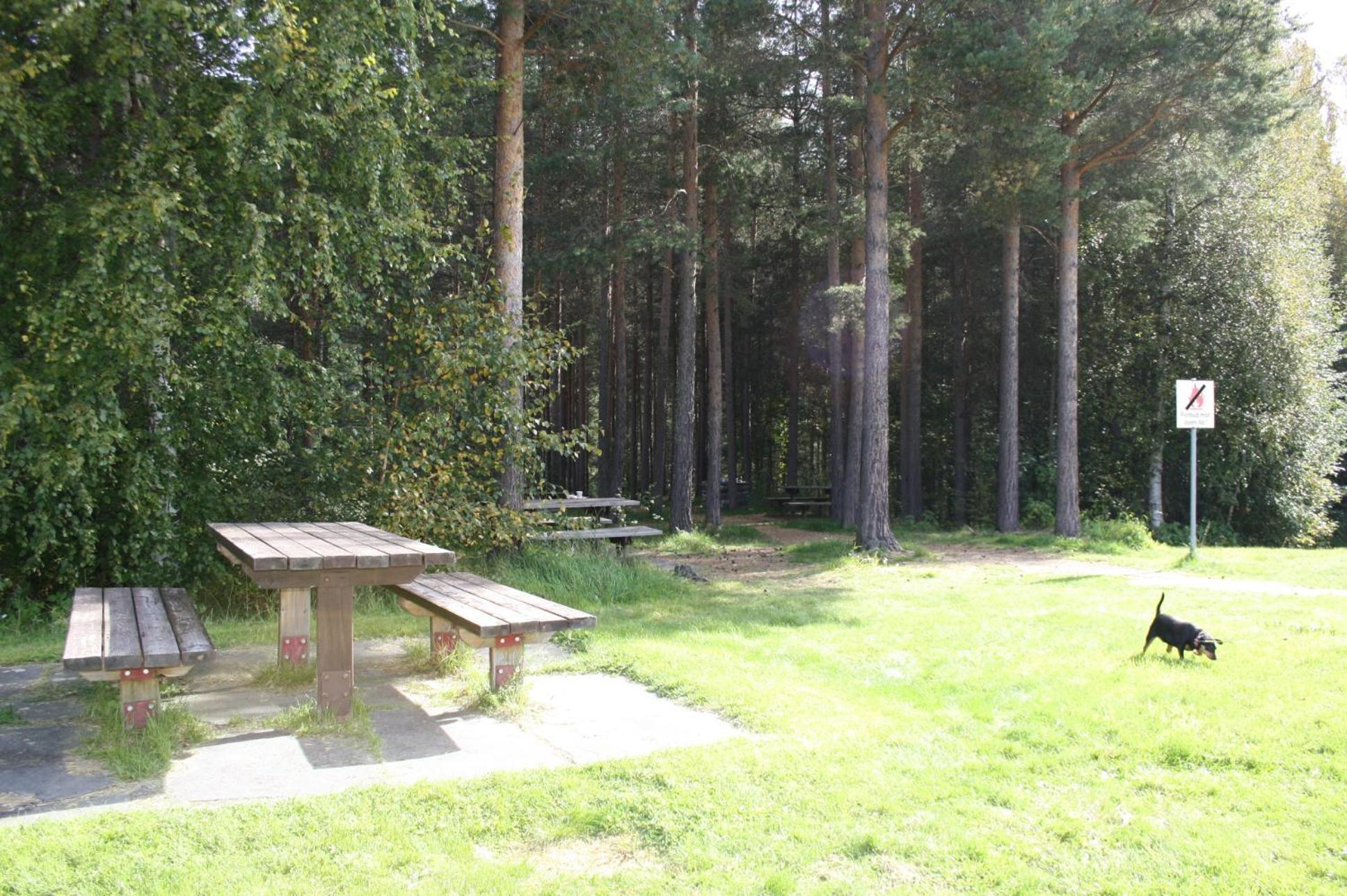 Dovreskogen Gjestegard As Exterior foto